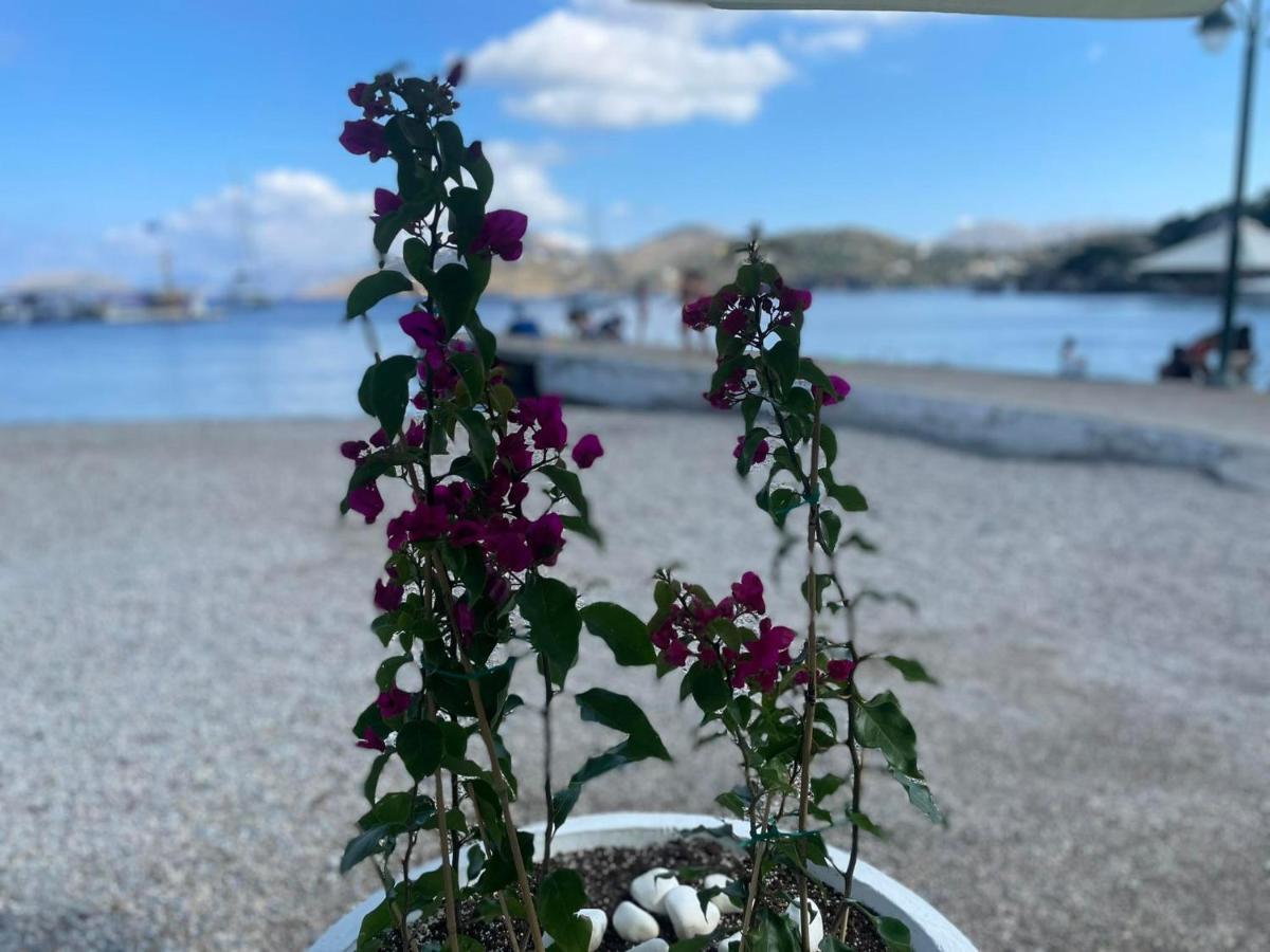 PanteliΟνειρόπετρα Λέρος~Oneiropetra Lerosアパートメント エクステリア 写真